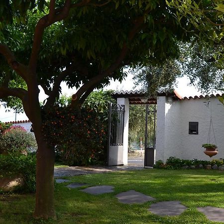 Azienda Agrituristica Villa Arianna Imperia Exterior foto