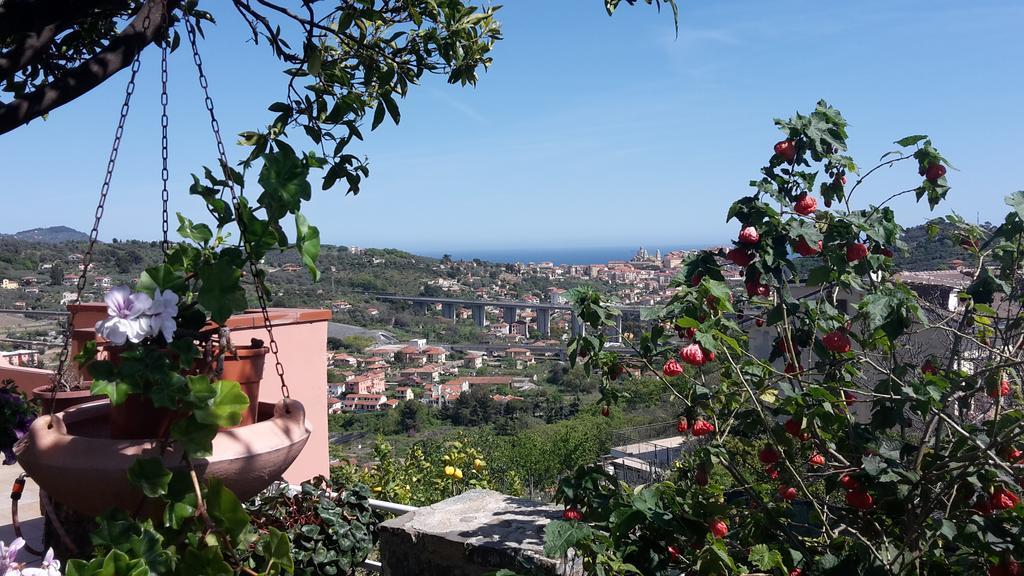 Azienda Agrituristica Villa Arianna Imperia Exterior foto