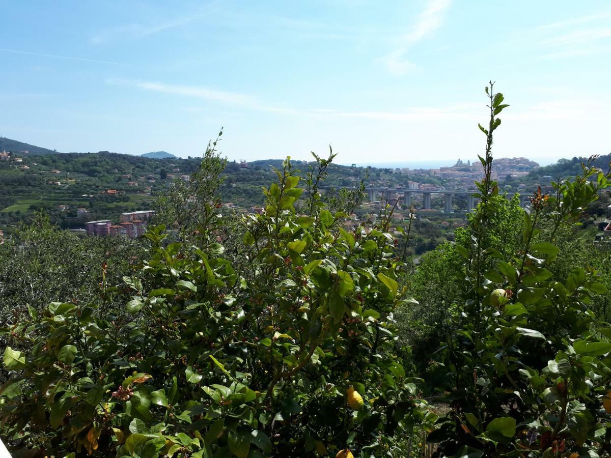 Azienda Agrituristica Villa Arianna Imperia Exterior foto