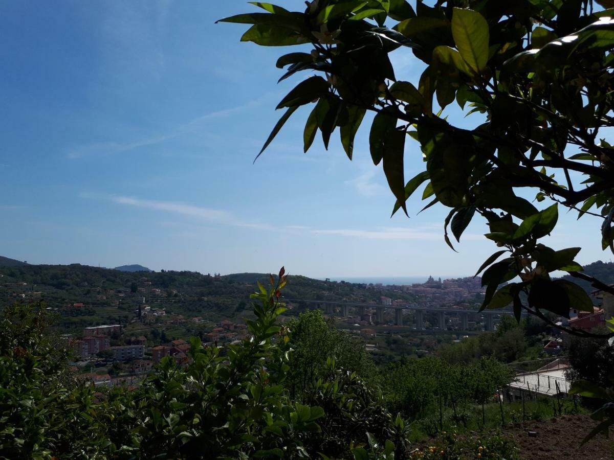 Azienda Agrituristica Villa Arianna Imperia Exterior foto
